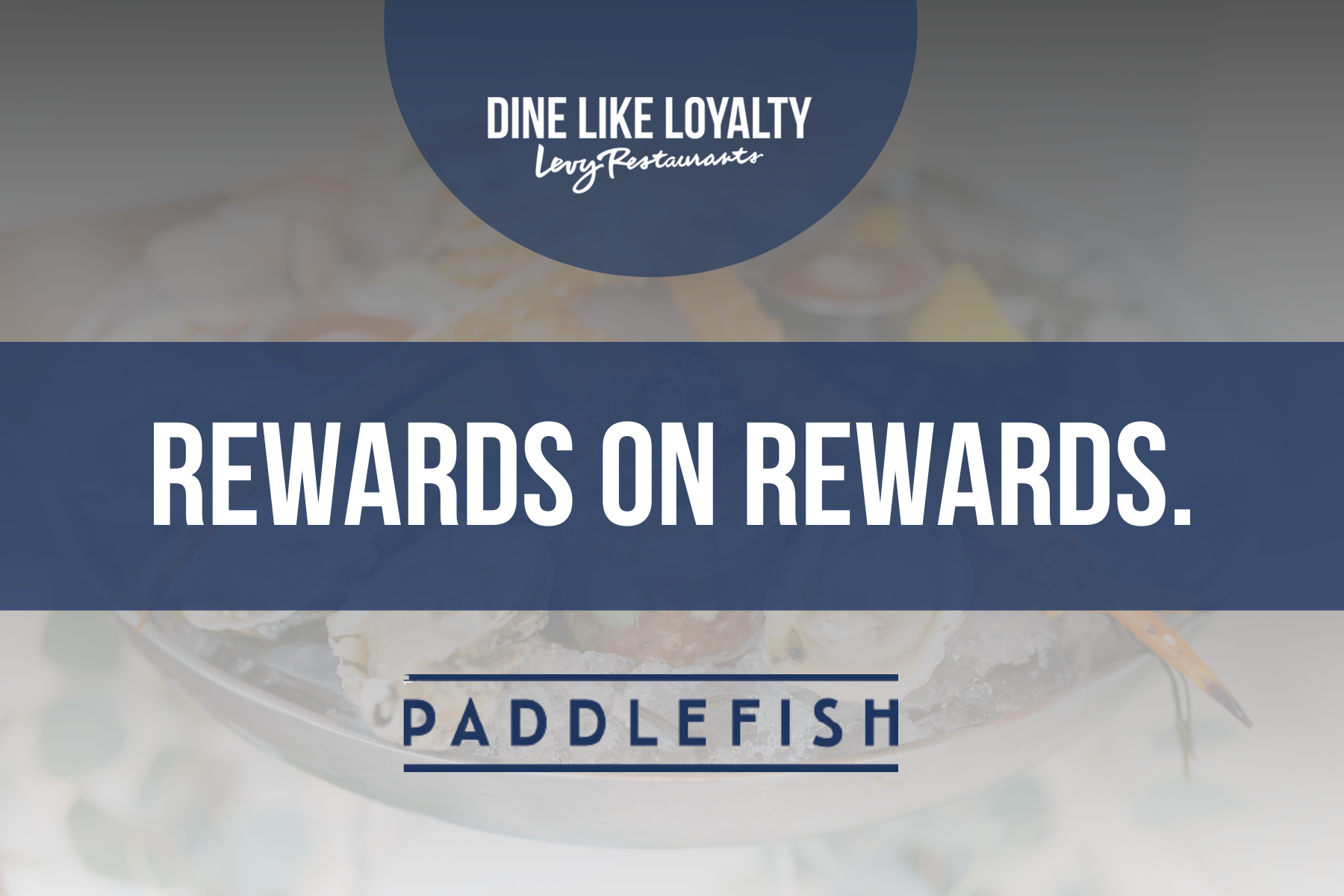 Get Rewarded at Paddlefish